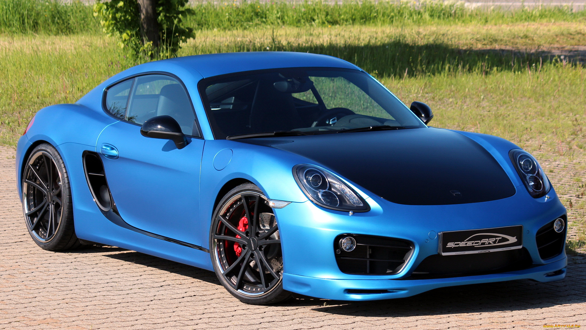 porsche, cayman, , , , 